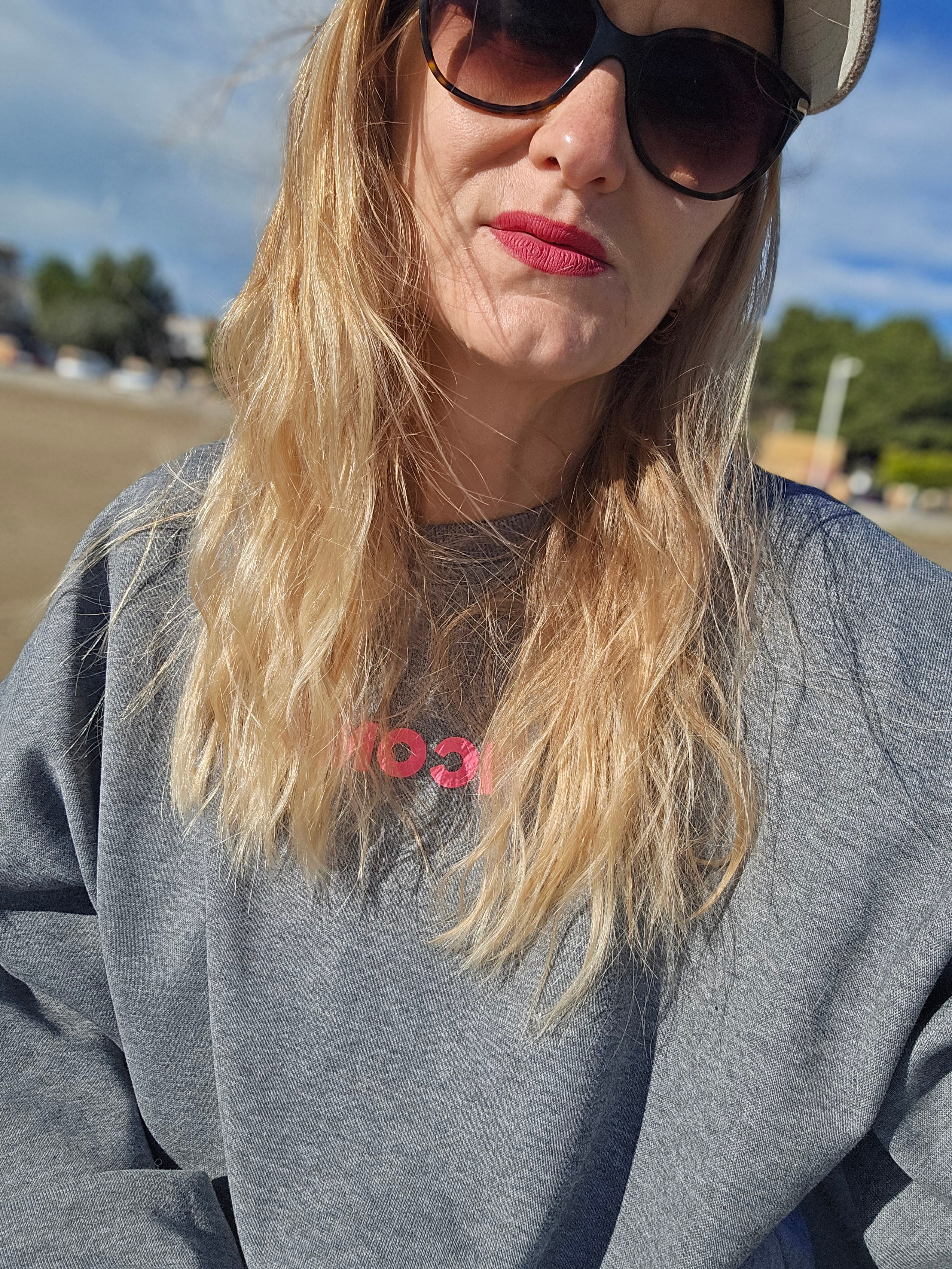 Sweat-iconic gris souris